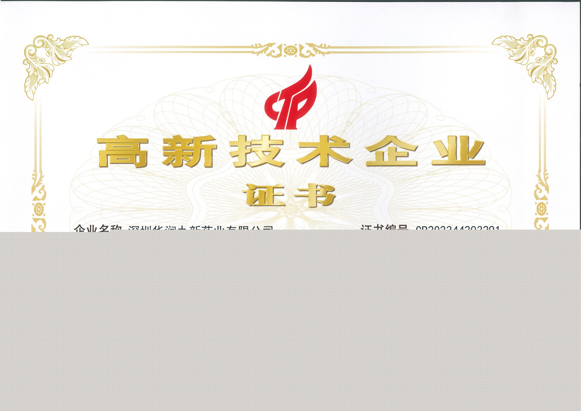 國(guó)家高新技術(shù)企業(yè)