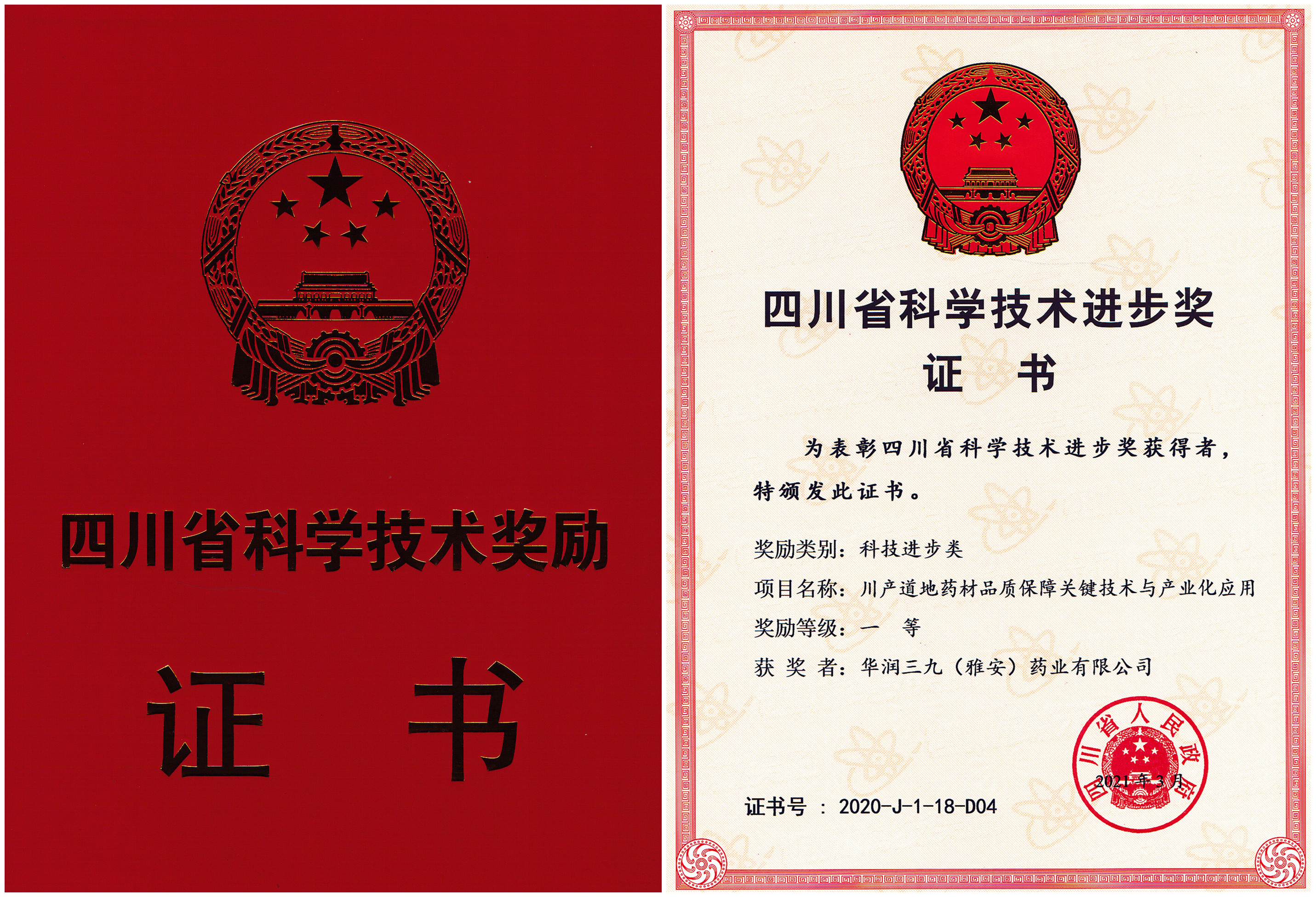 四川省科技進(jìn)步一等獎-2021年